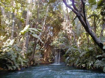 Jungle cruise<br>Location: <a href="https://www.google.com/maps/search/?api=1&query=33.81077,-117.92004" target="_new">Disneyland</a>